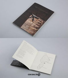 版式設計技巧 圖文組合在展覽展示服務中的要義