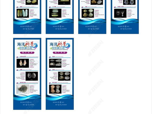 藍(lán)色海洋科普?qǐng)D文展易拉寶展架設(shè)計(jì) 探索海洋奧秘，守護(hù)蔚藍(lán)家園